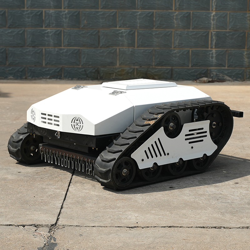 Krachtige, duurzame lithium-ac - Lawn Mower Battery recensie en prijs